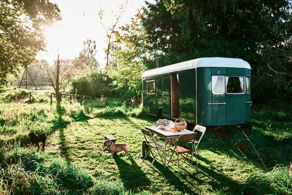 glamping in herefordshire with Mad Dogs and Vintage Vans - Gertie Van