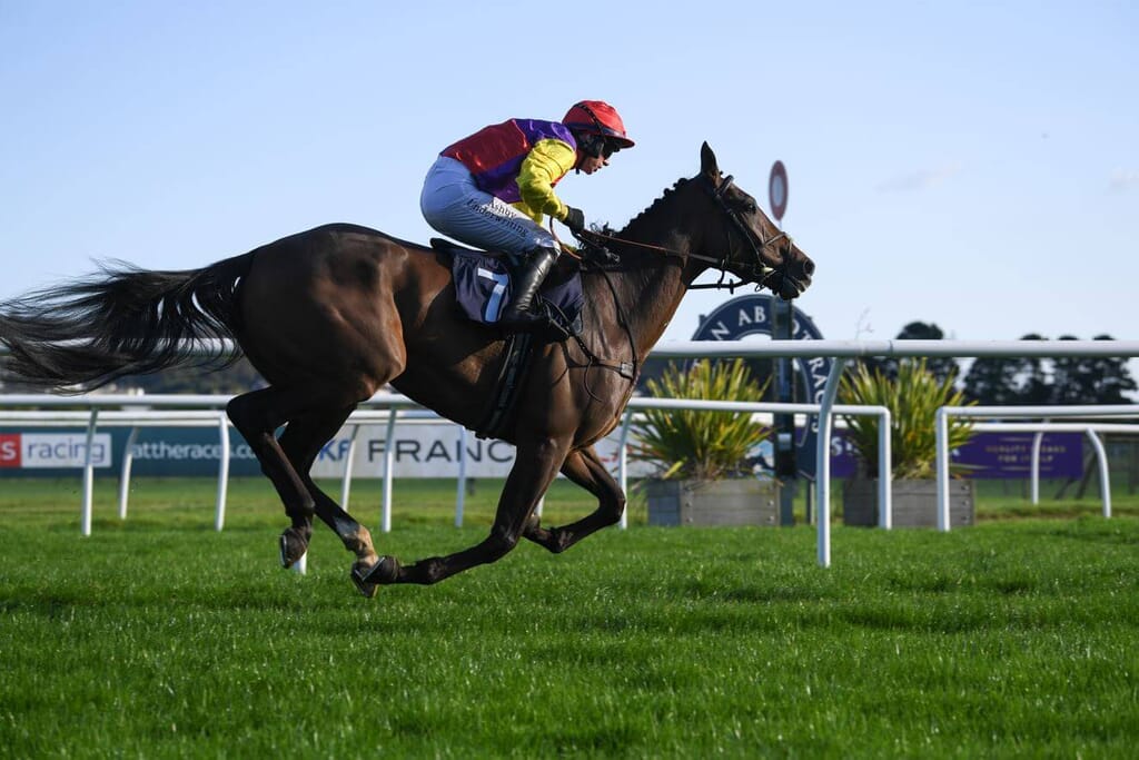 Flat horse race Newton Abbot Flat horse race Newton Abbot