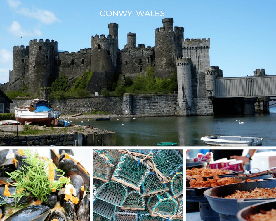 Conwy Food festival images
