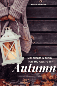 autumn - girl holding lantern amongst leaves - image for pinterest