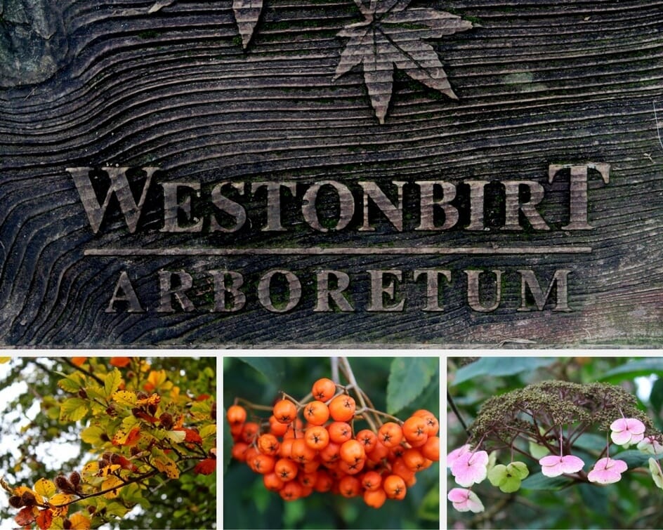 Westonbirt Arboretum in October Holidays