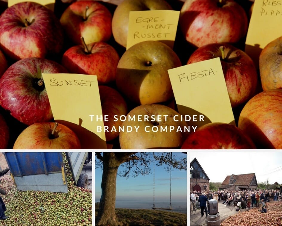 Somerset Cider Company Apples in October Holidays
