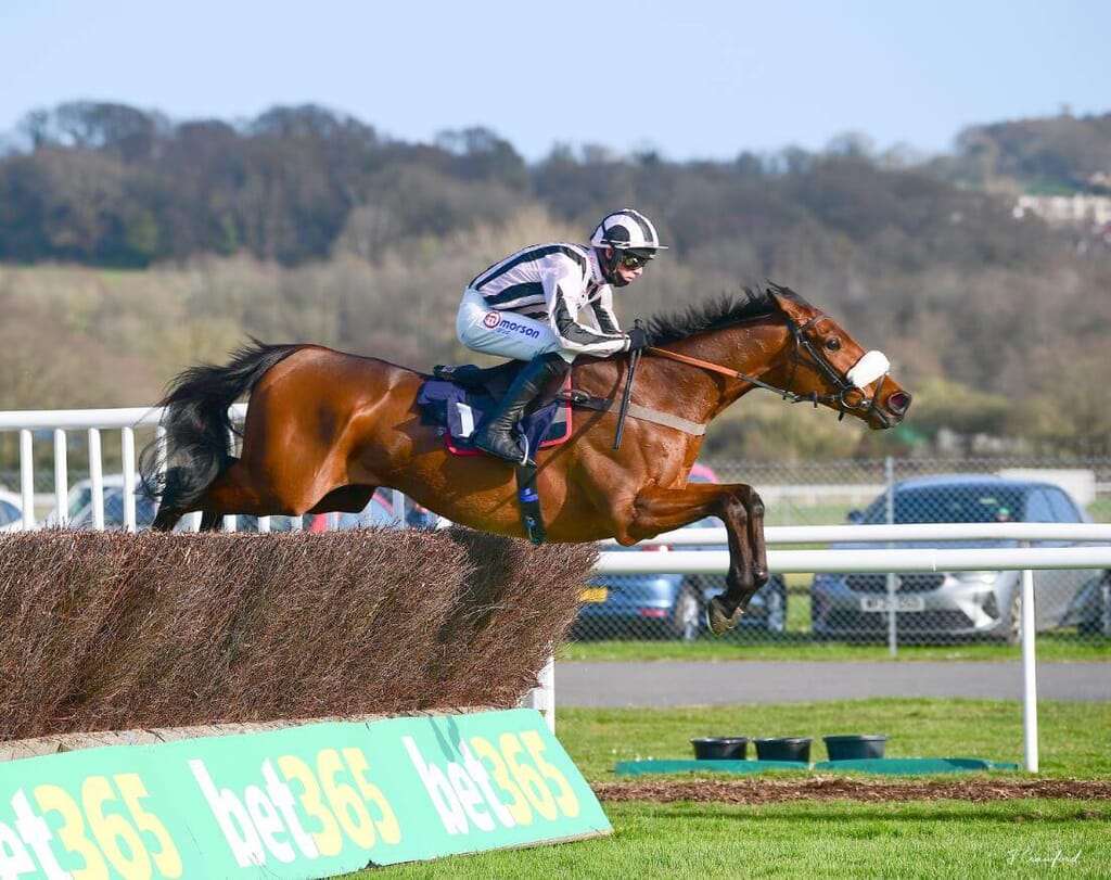 Steeplechase at Newton Abbot Steeplechase at Newton Abbot