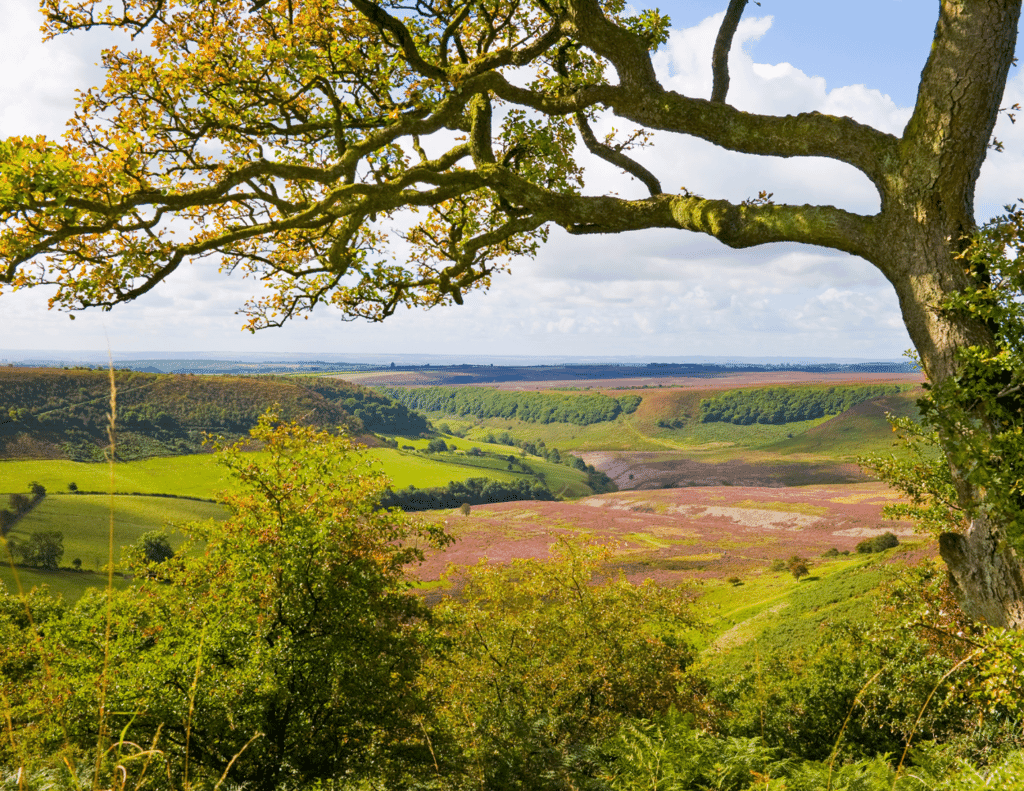 things to do north york moors - hike the hole of holcrum things to do north york moors - hike the hole of holcrum