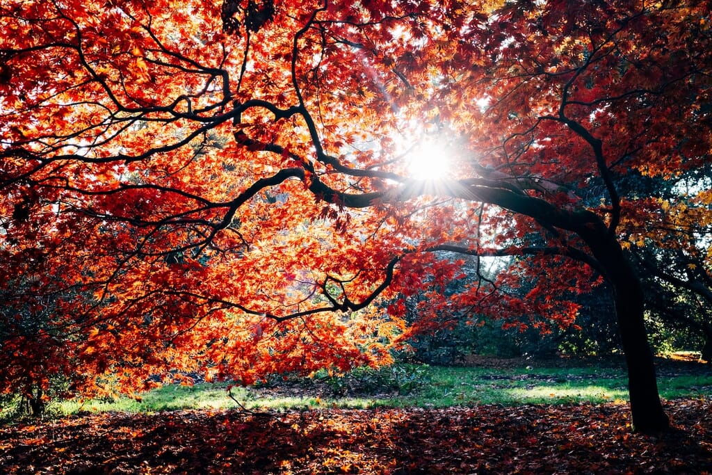 autumn-uk-break.jpg?w=1024&h=683&scale autumn-uk-break.jpg?w=1024&h=683&scale