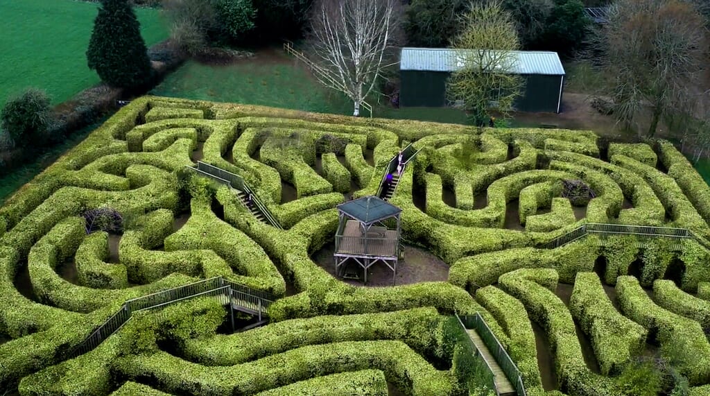 Maze at Wildwood Escot Maze at Wildwood Escot