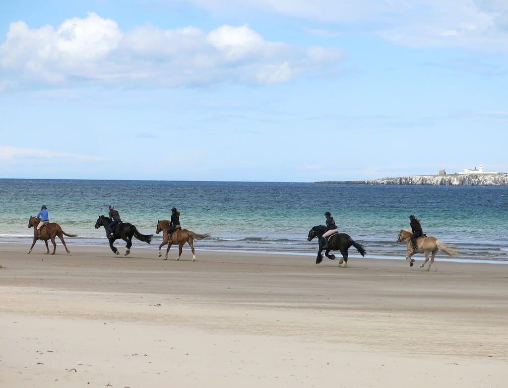 horse riding beaches northumberland
