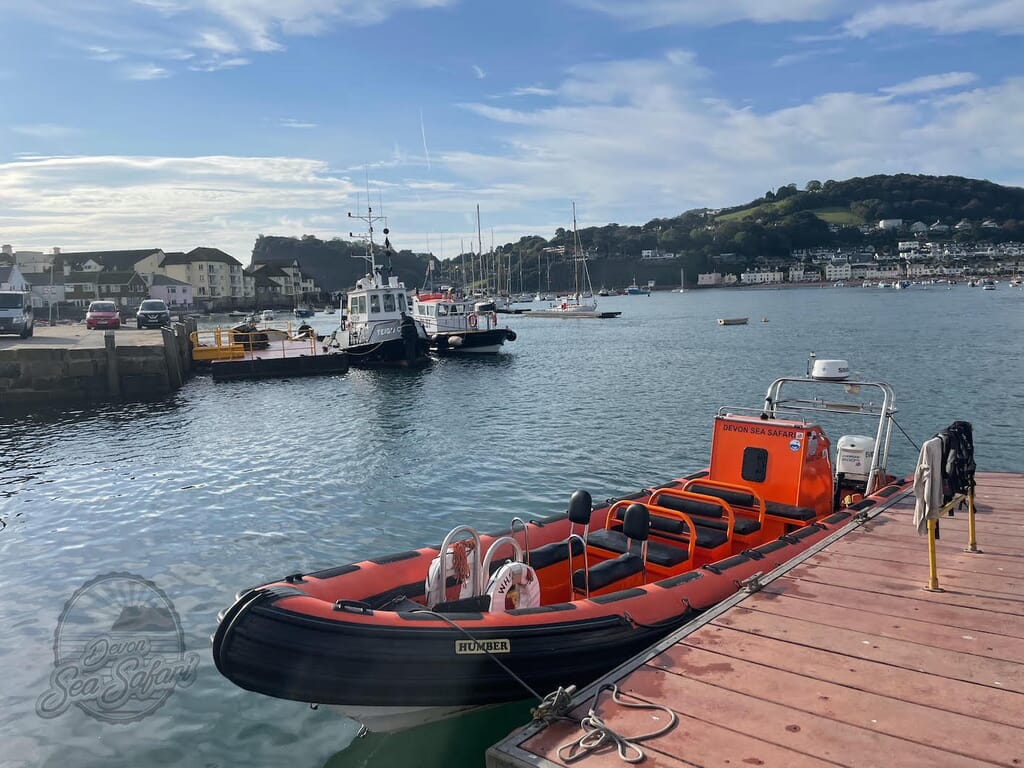 South Devon Sea Safari boat South Devon Sea Safari boat