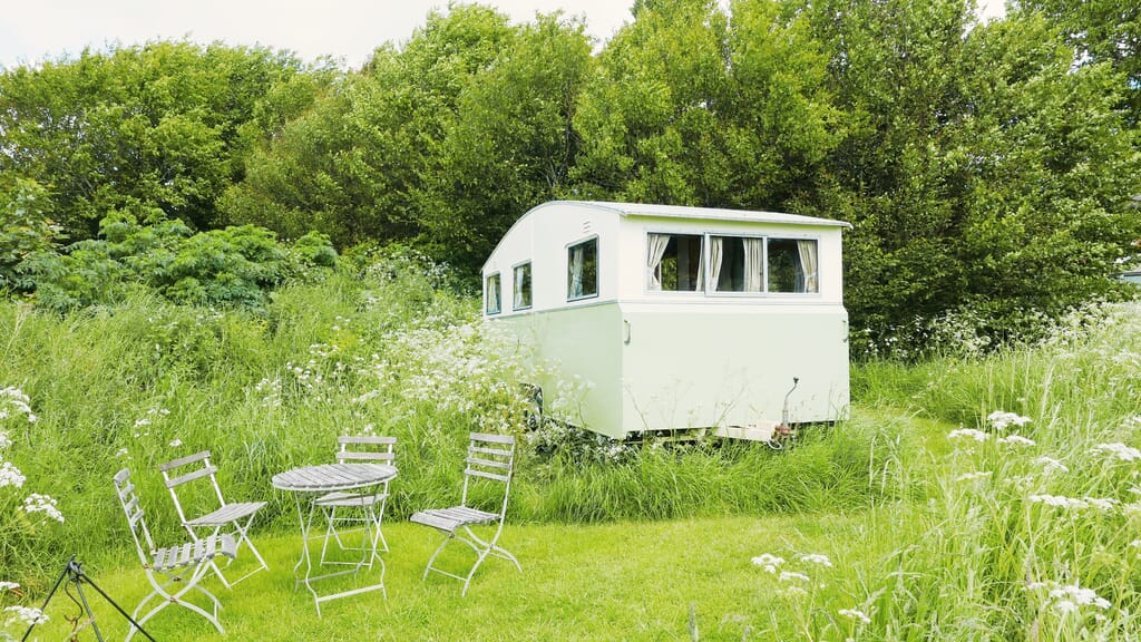 Mad Dogs glamping in the Forest of Dean - Sybil Van Mad Dogs glamping in the Forest of Dean - Sybil Van