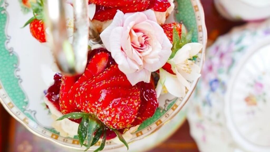 Mad Dogs glamping in the Forest of Dean - Complimentary Afternoon Tea Mad Dogs glamping in the Forest of Dean - Complimentary Afternoon Tea