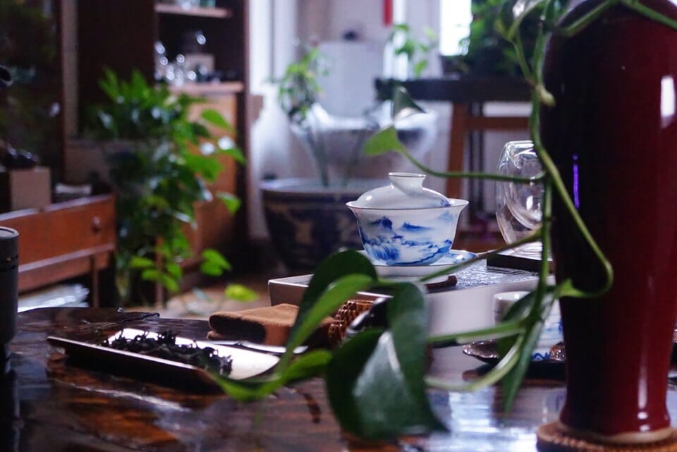 68470181_1388194471319432_5159588145905270784_n 68470181_1388194471319432_5159588145905270784_n