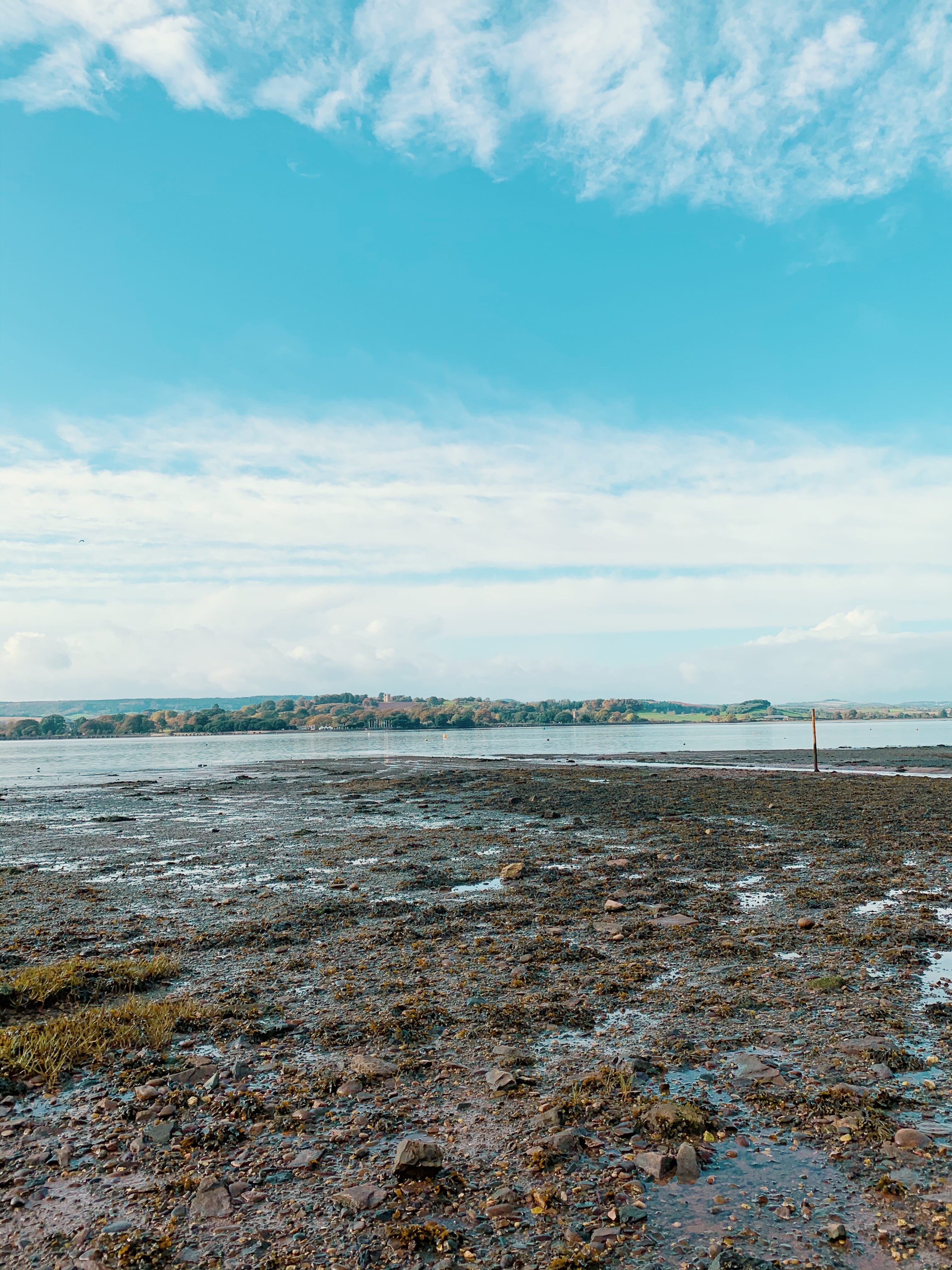 3181470F-2936-4732-A031-FA63C1A06044.jpg?w=768&h=1024&scale