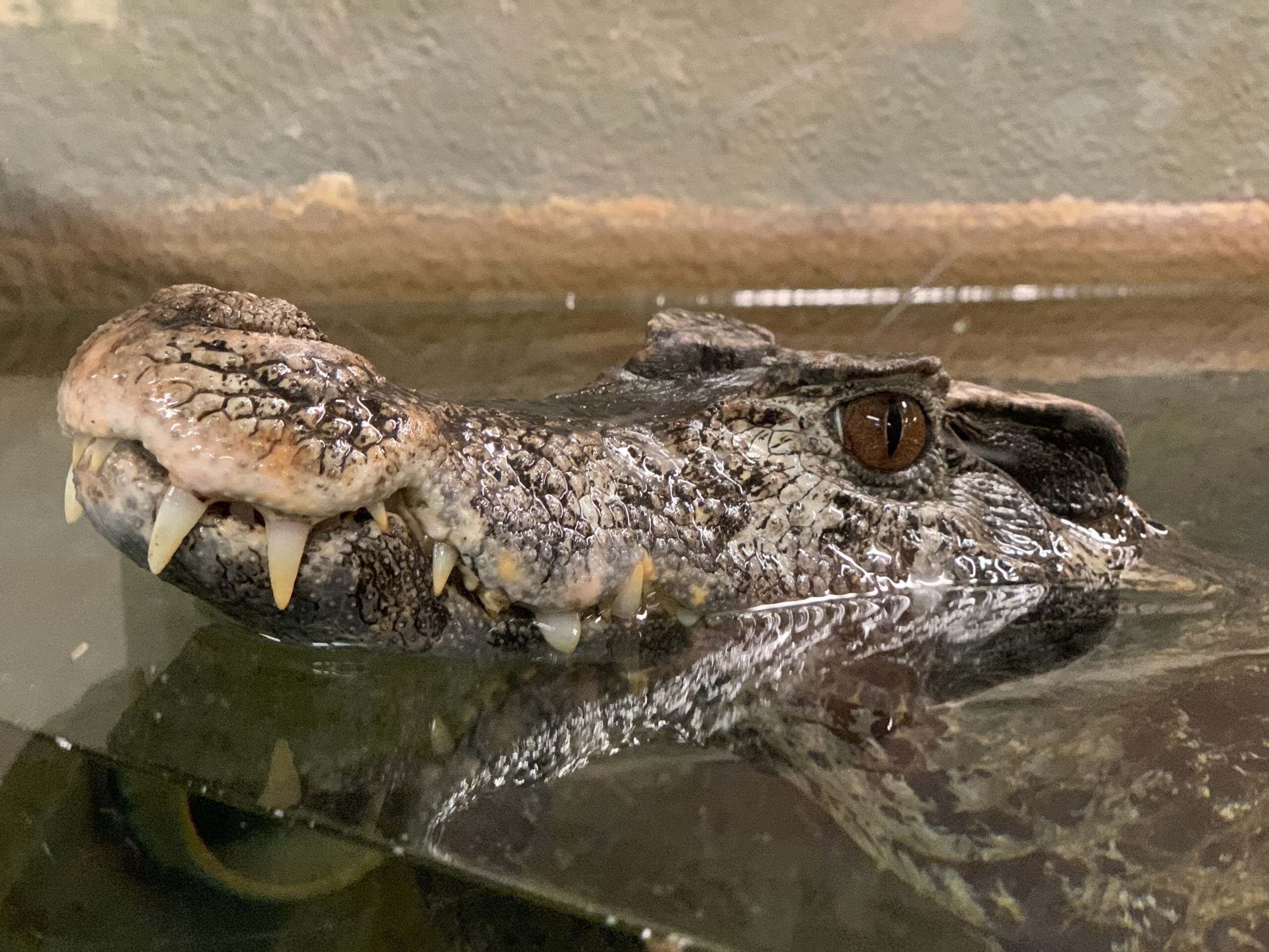 IMG_5165-scaled.jpg?w=1024&h=768&scale