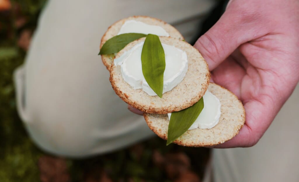 E0071C63-AAD6-46AF-9A25-5673CF29A1E0-scaled.jpg?w=1024&h=623&scale E0071C63-AAD6-46AF-9A25-5673CF29A1E0-scaled.jpg?w=1024&h=623&scale