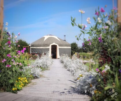 Peake's Retreat Yurts - outside