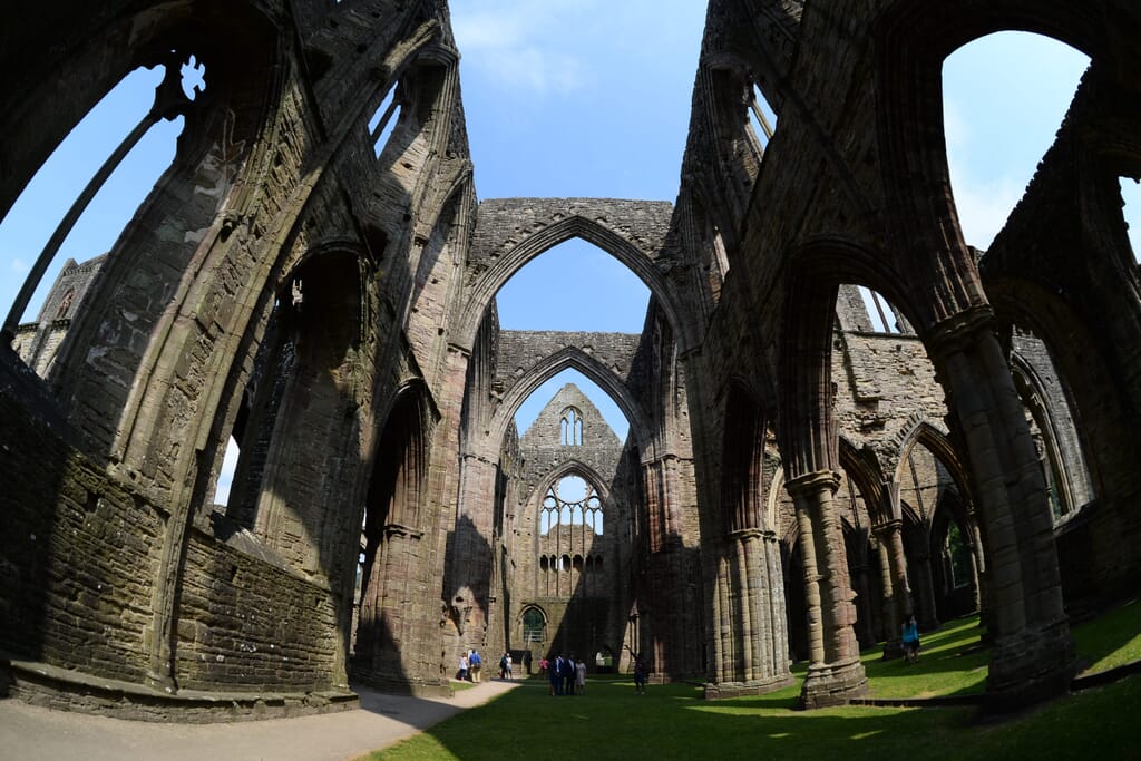 Tintern Abbey - inside view Tintern Abbey - inside view