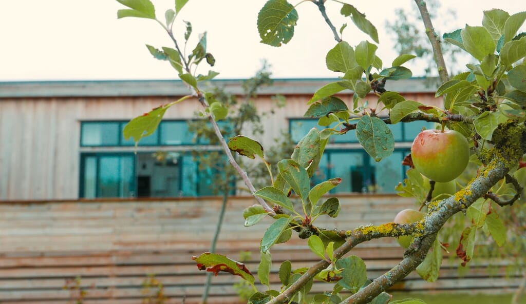 Strawberryfield Eco Lodges in Somerset - exterior and apple in orchard Strawberryfield Eco Lodges in Somerset - exterior and apple in orchard
