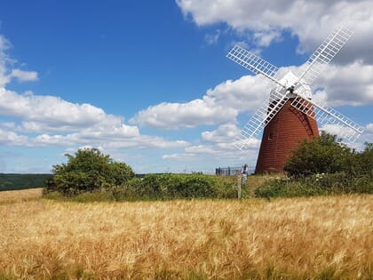 Halnaker-Windmill-1