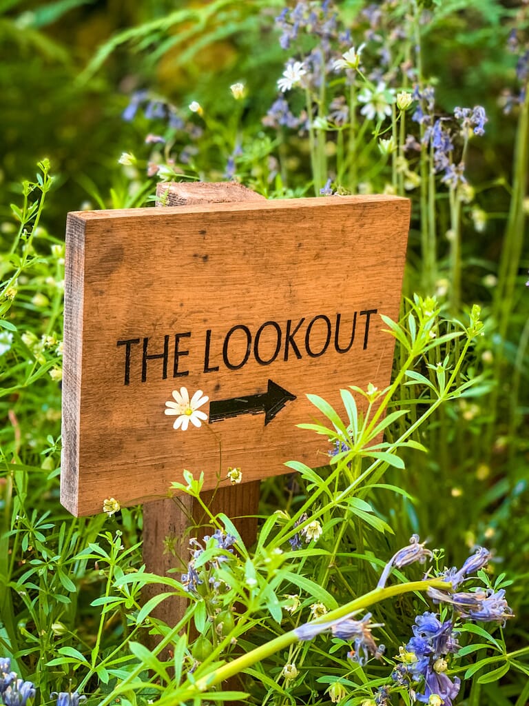 hudnalls-hideoutIMG_3553.jpg?w=768&h=1024&scale hudnalls-hideoutIMG_3553.jpg?w=768&h=1024&scale