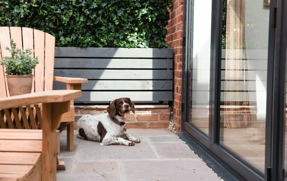 eastbury hotel in sherborne - terrace and dog eastbury hotel in sherborne - terrace and dog