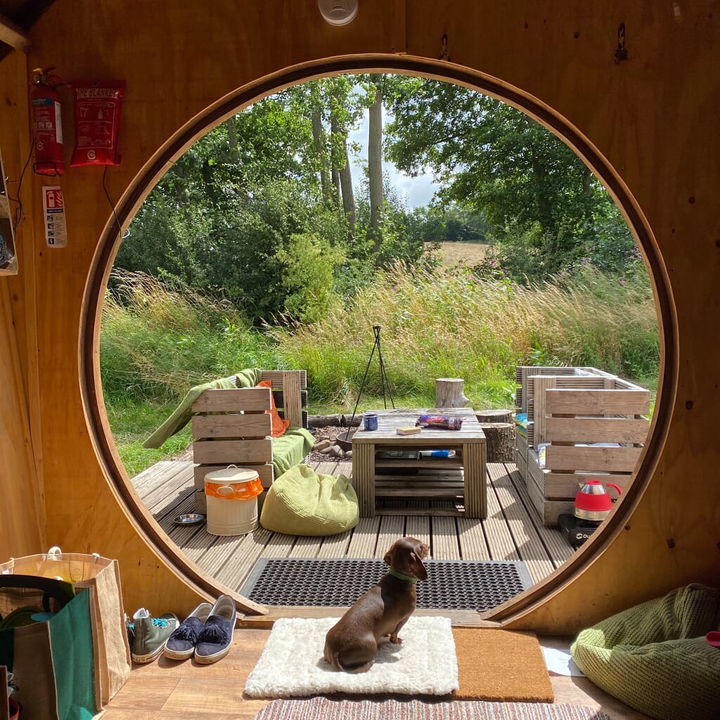 camping near york - hobbit house from inside with dog