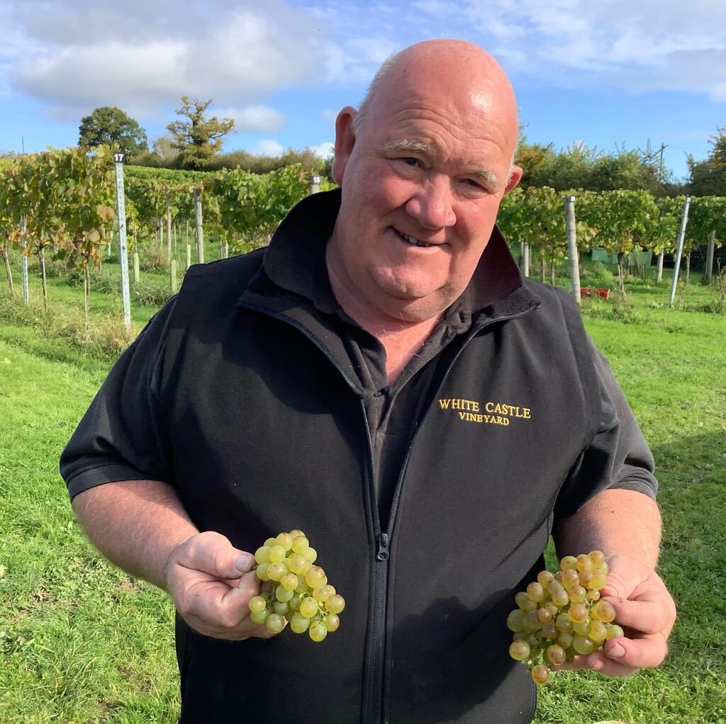 White castle vineyard in Wales: Robb owner