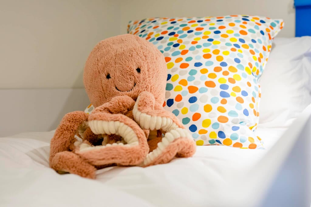 166554647_4025036857559294_8731102093508994700_n-1.jpg?w=1024&h=682&scale 166554647_4025036857559294_8731102093508994700_n-1.jpg?w=1024&h=682&scale