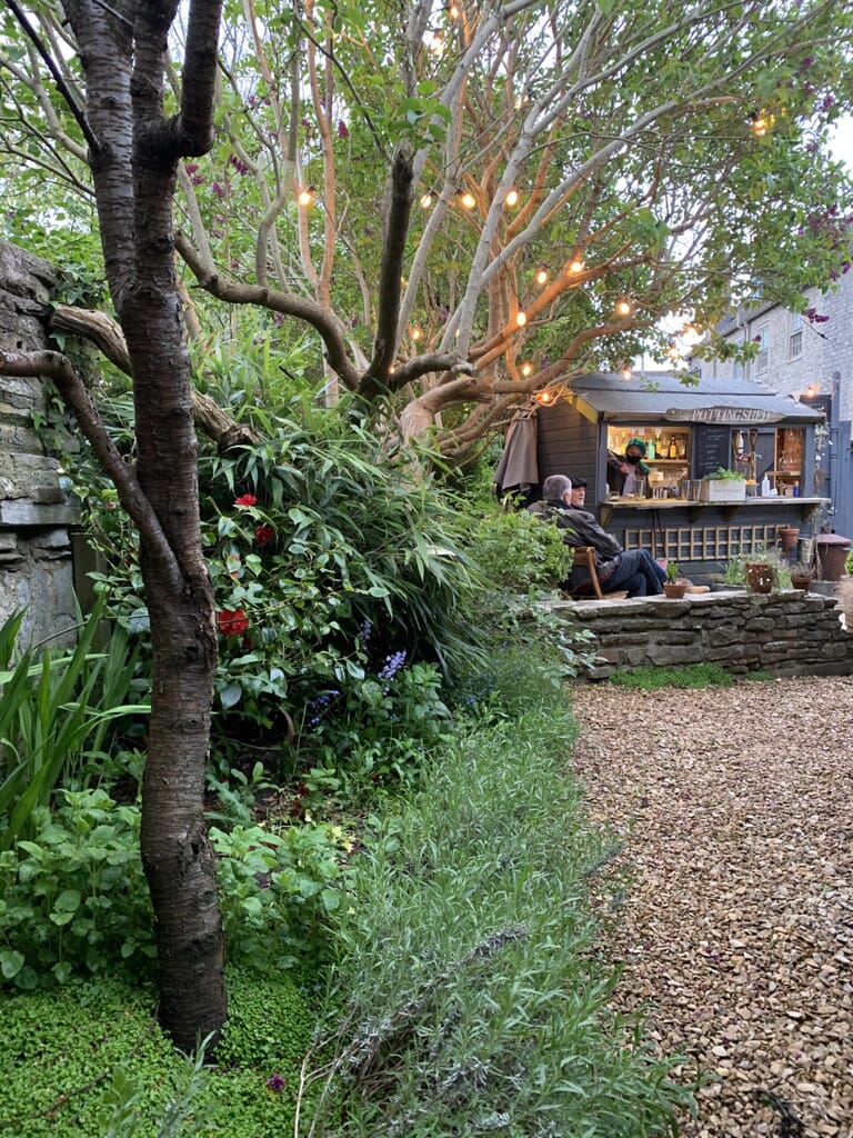 dark-bear-bridport-potting-shed: garden