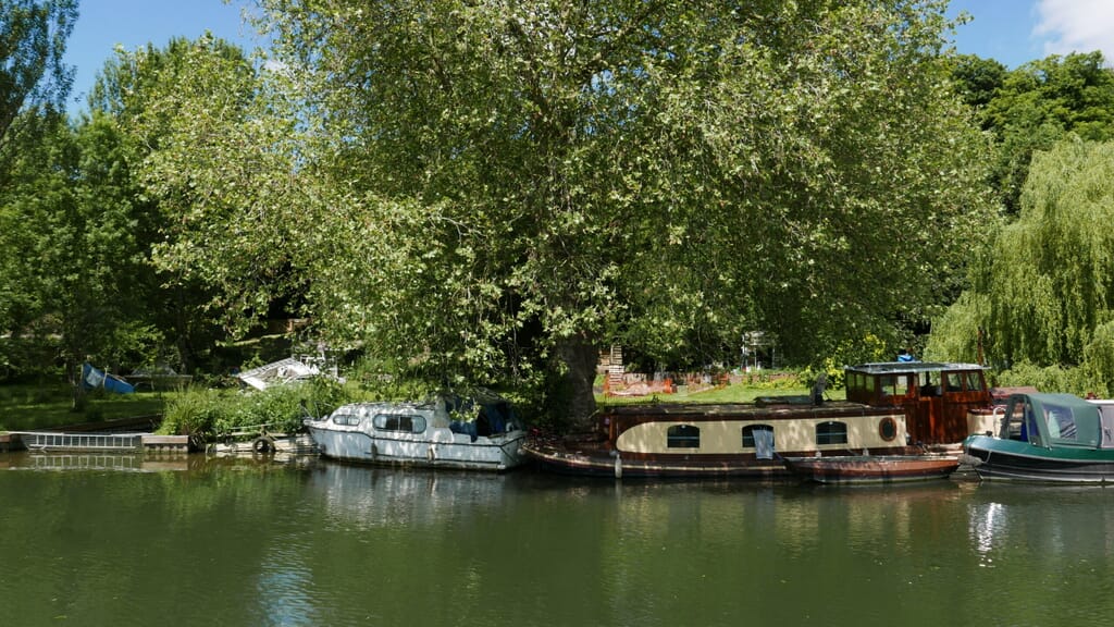 Cruise on the River Thames Cruise on the River Thames