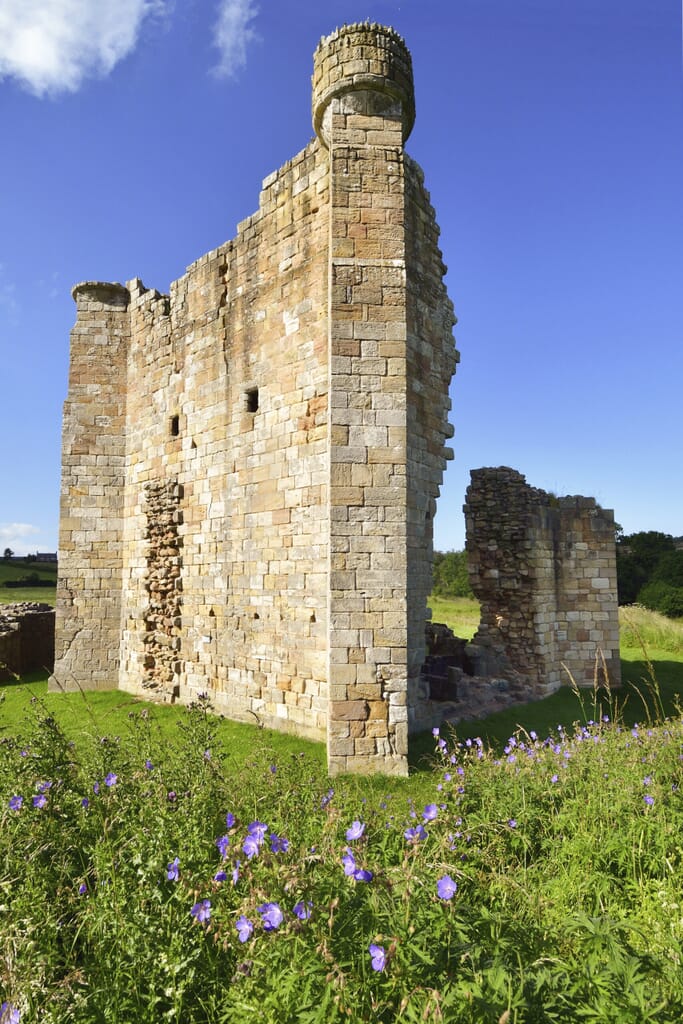 EH59589-scaled.jpg?w=683&h=1024&scale EH59589-scaled.jpg?w=683&h=1024&scale