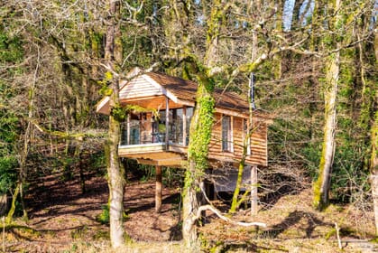yeworthy treehouse devon - outside