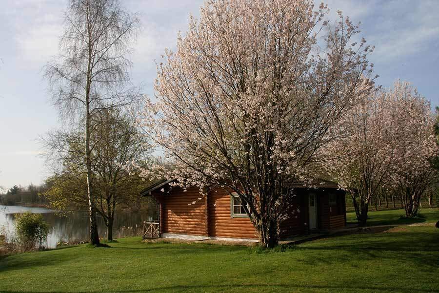 log house holidays cirencester - lakes spring house
