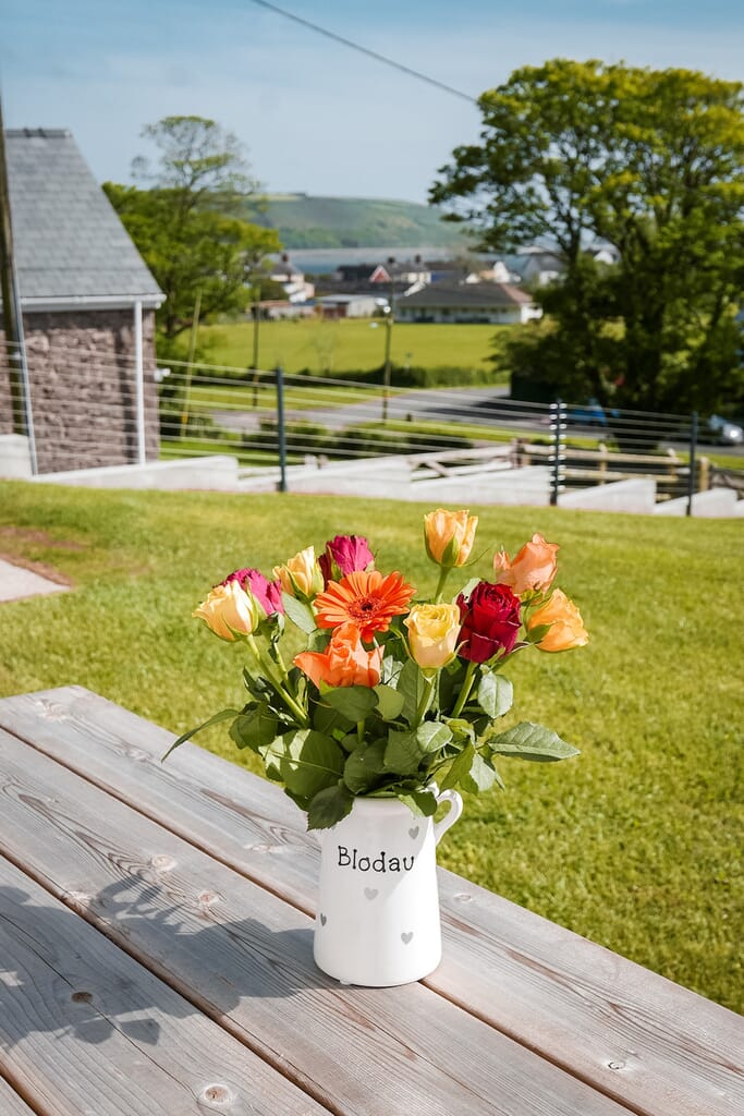 llansteffan accommodation - woodlea flower and view