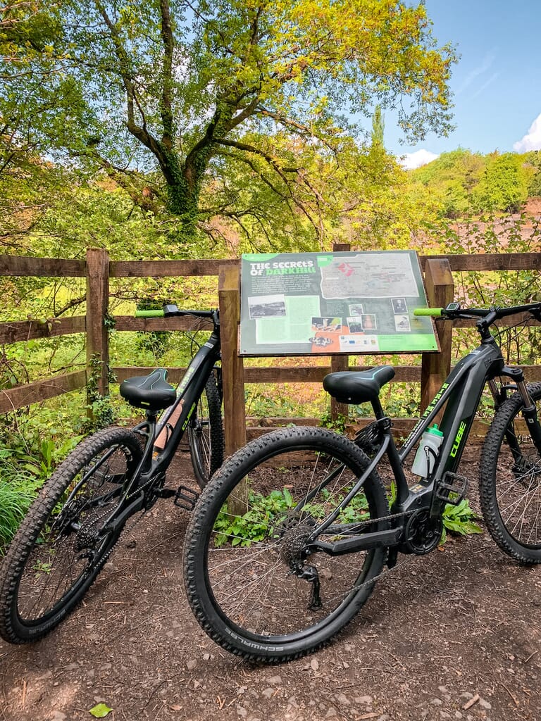 things-to-do-forest-of-deanIMG_2069.jpg?w=768&h=1024&scale things-to-do-forest-of-deanIMG_2069.jpg?w=768&h=1024&scale