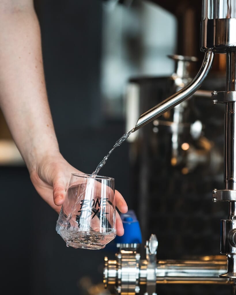 bone-idyll-gin-experience-london - tasting gin bone-idyll-gin-experience-london - tasting gin