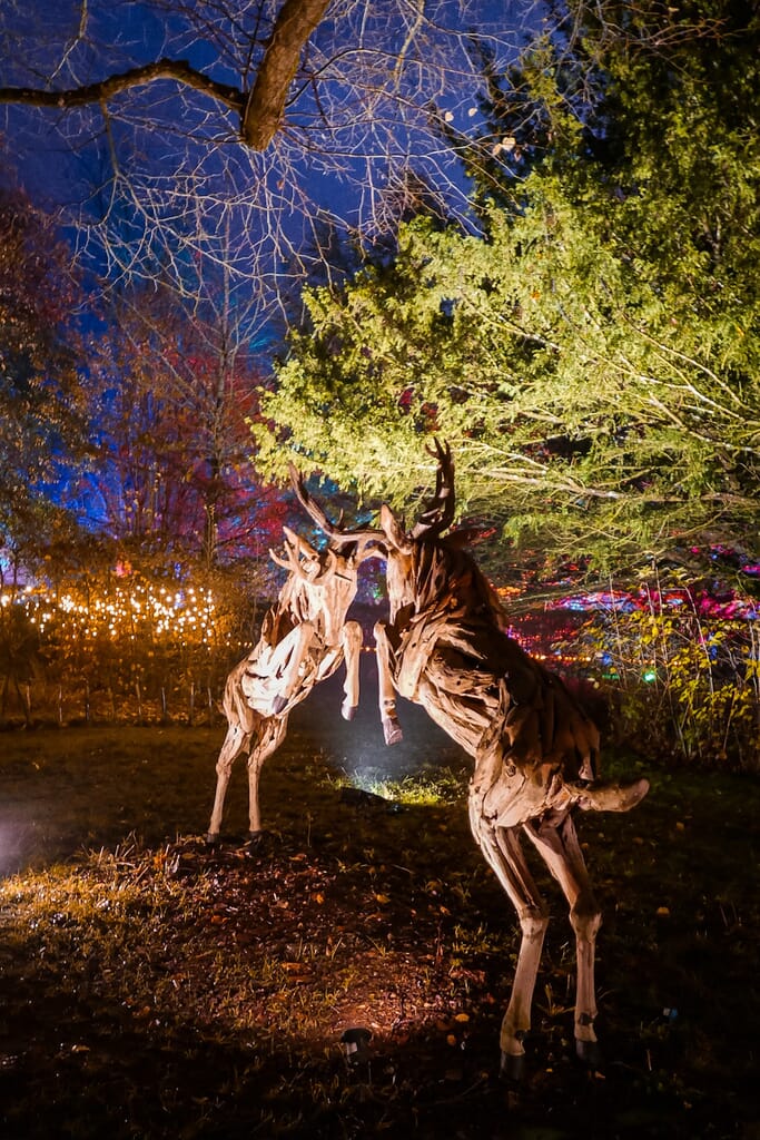 Spectacle of Light at Sudeley castle - weekend in Cheltenham Spectacle of Light at Sudeley castle - weekend in Cheltenham