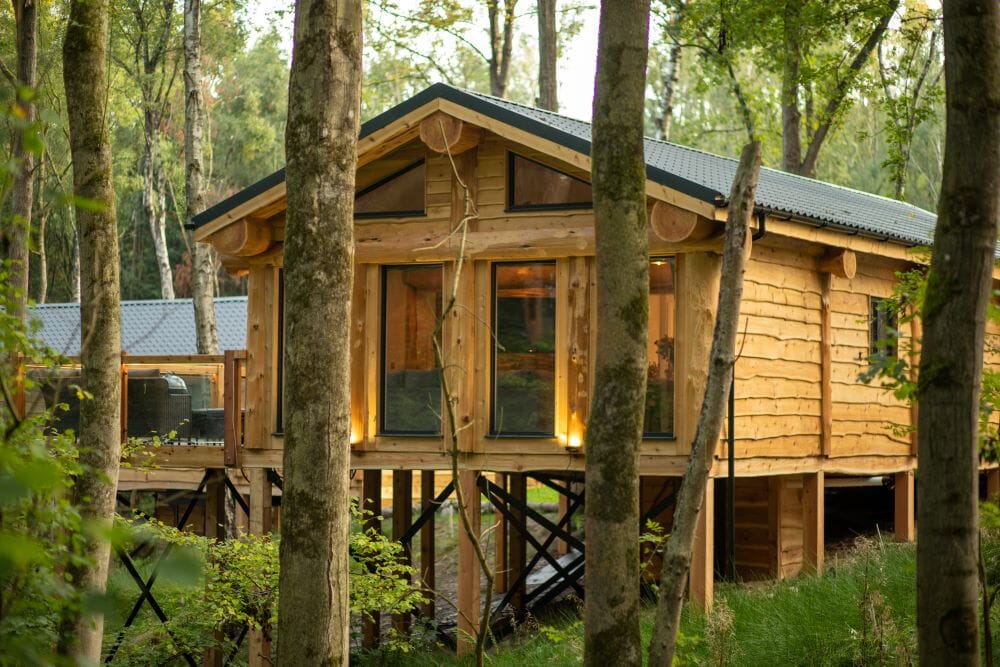 woodland park lodges dog-friendly treehouses: exterior