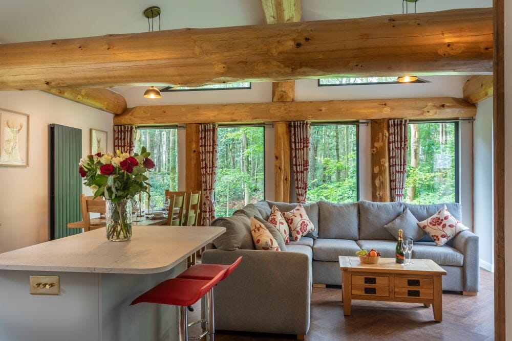 woodland park lodges dog-friendly treehouses: lounge interior