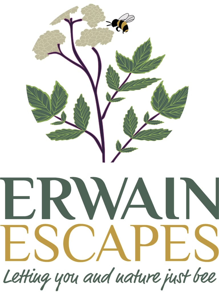 log cabins Carmarthenshire: Erwain Escapes - logo