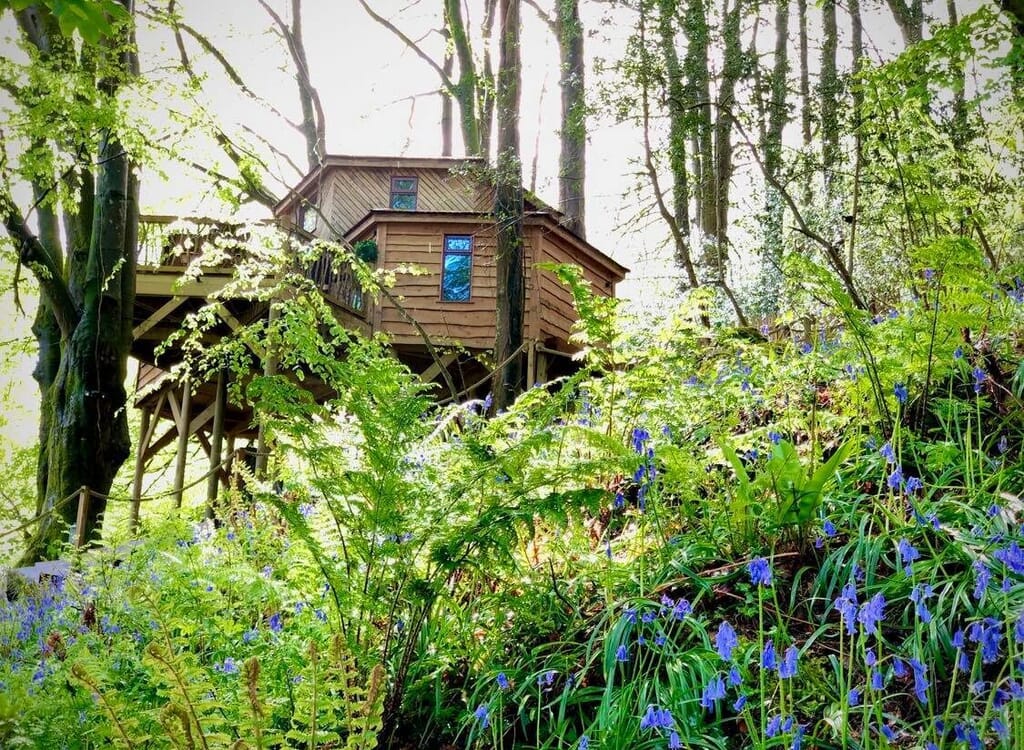 Ravendere Retreats: The Treehouse, Devon - exterior