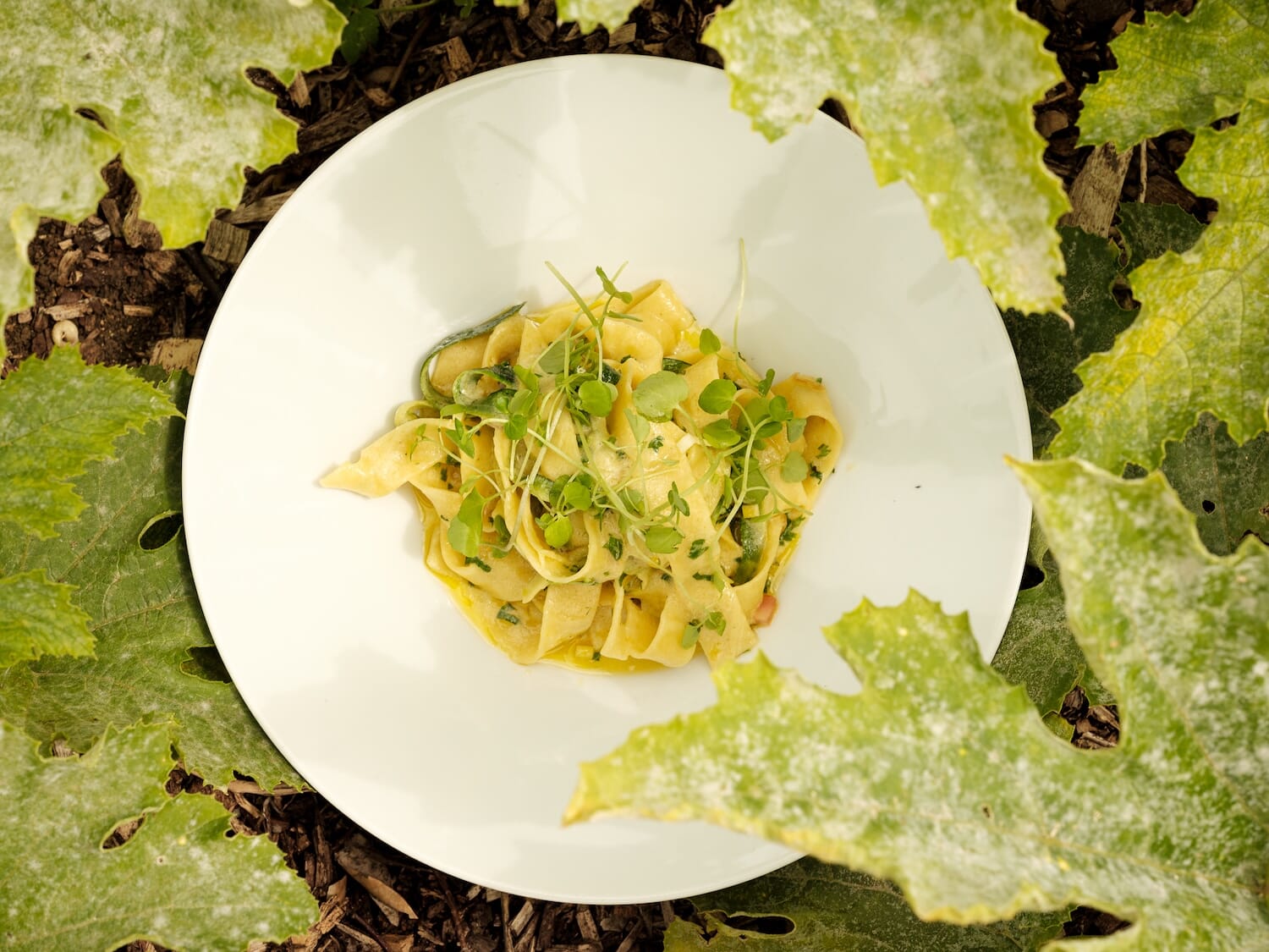 0C5238CC-EB6E-47D9-9988-BC74F83C0C5F.jpeg?w=1024&h=768&scale